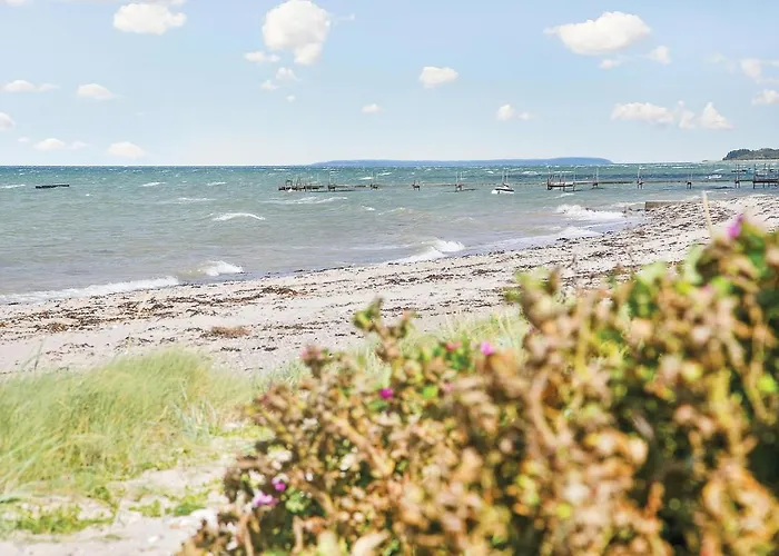 Pet Friendly In With Sauna 펜션